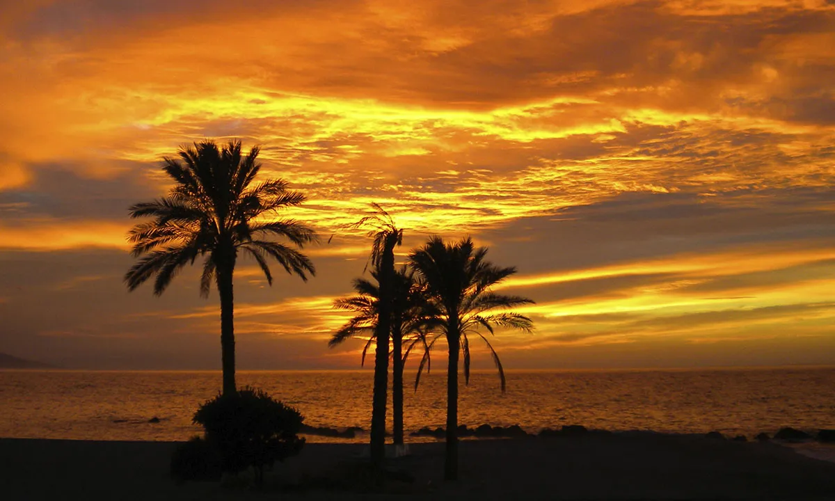 Coucher de soleil orangé avec des palmiers au-dessus de la mer sur la Costa Tropical