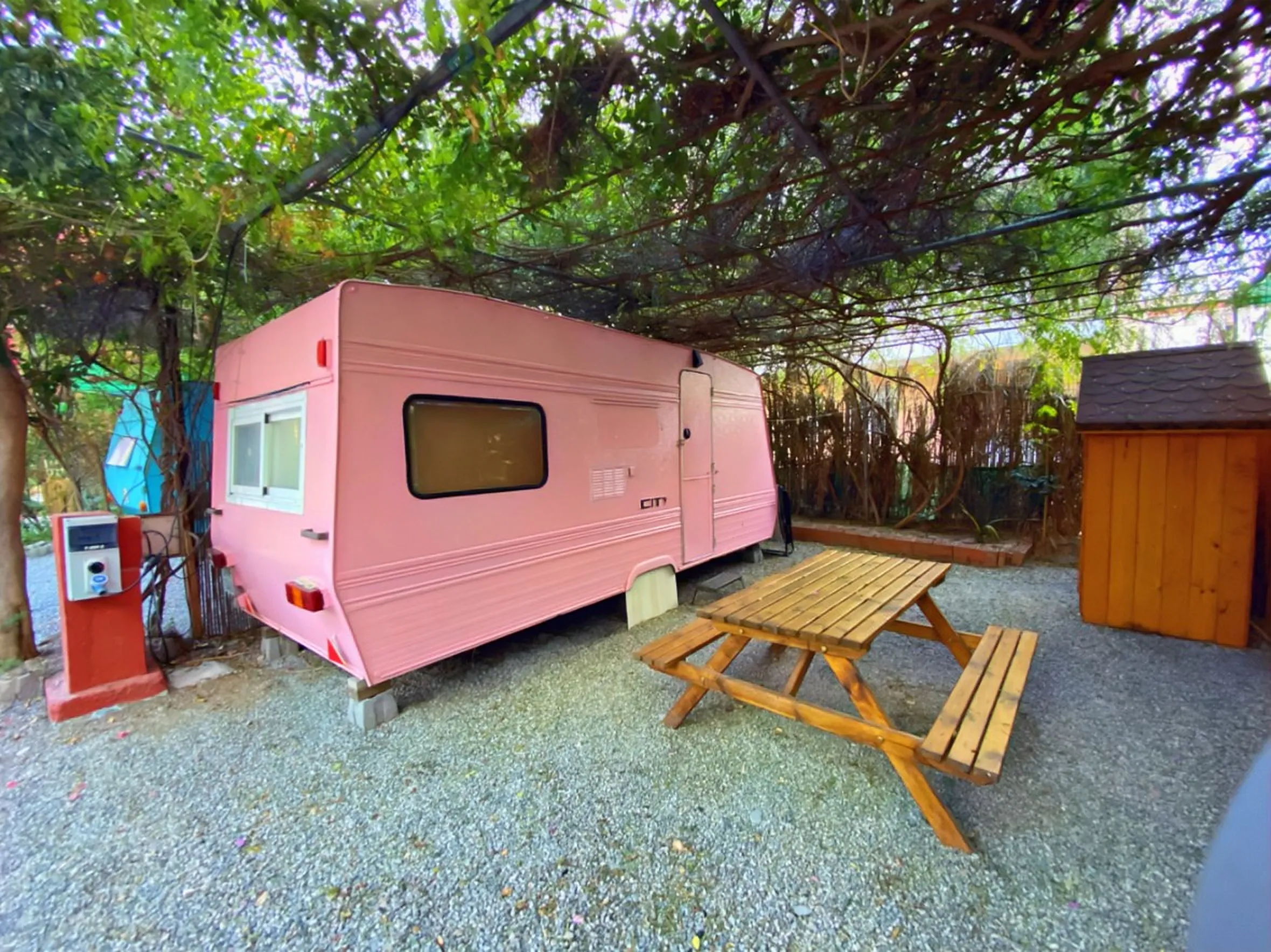 Caravane vintage rose avec table de pique-nique en bois sous une pergola végétale