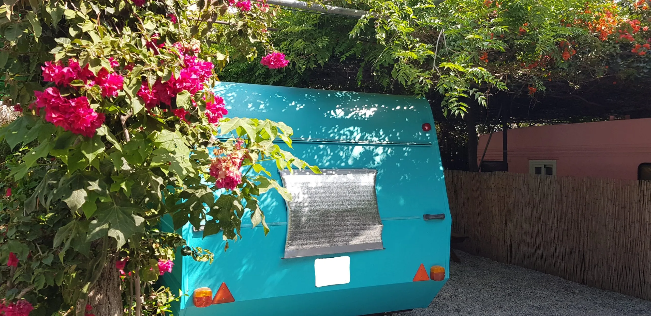 Caravana vintage turquesa junto a una buganvilla en flor, con la puerta abierta