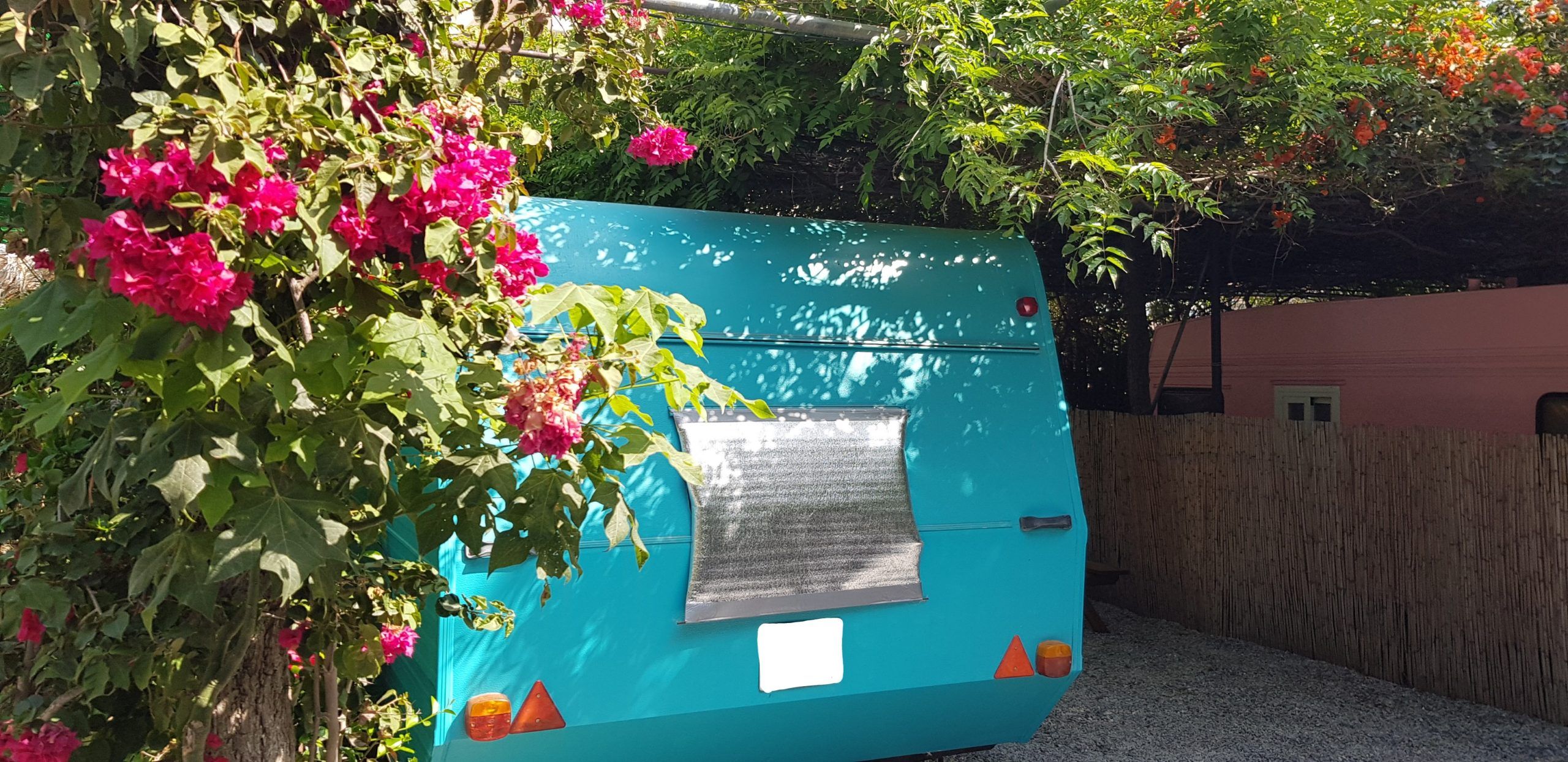 Caravana vintage turquesa junto a una buganvilla en flor, con la puerta abierta