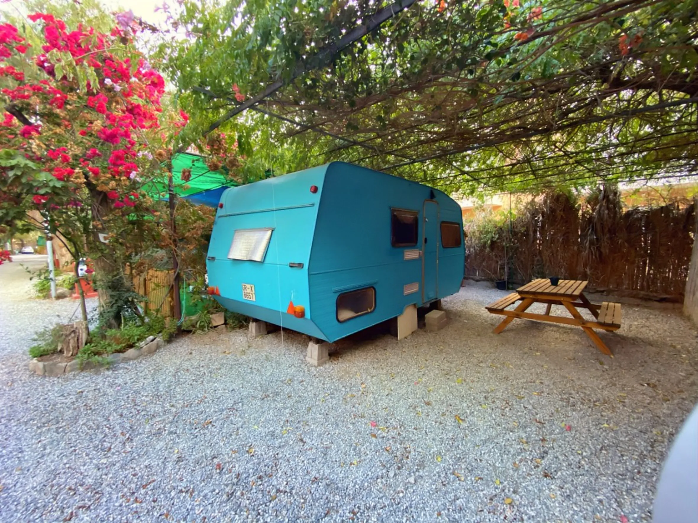 Caravane vintage turquoise sous une pergola végétale avec table de pique-nique