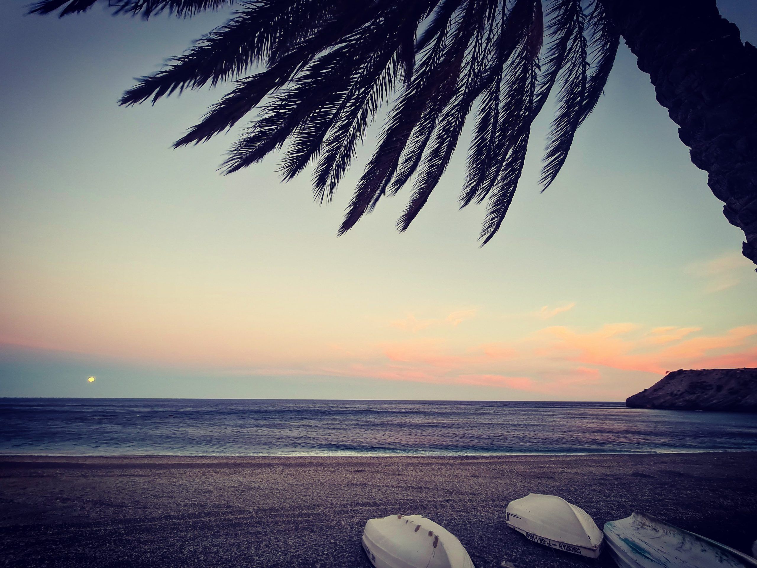 Atardecer en la playa de Castell de Ferro, con una palmera sobre el mar en calma